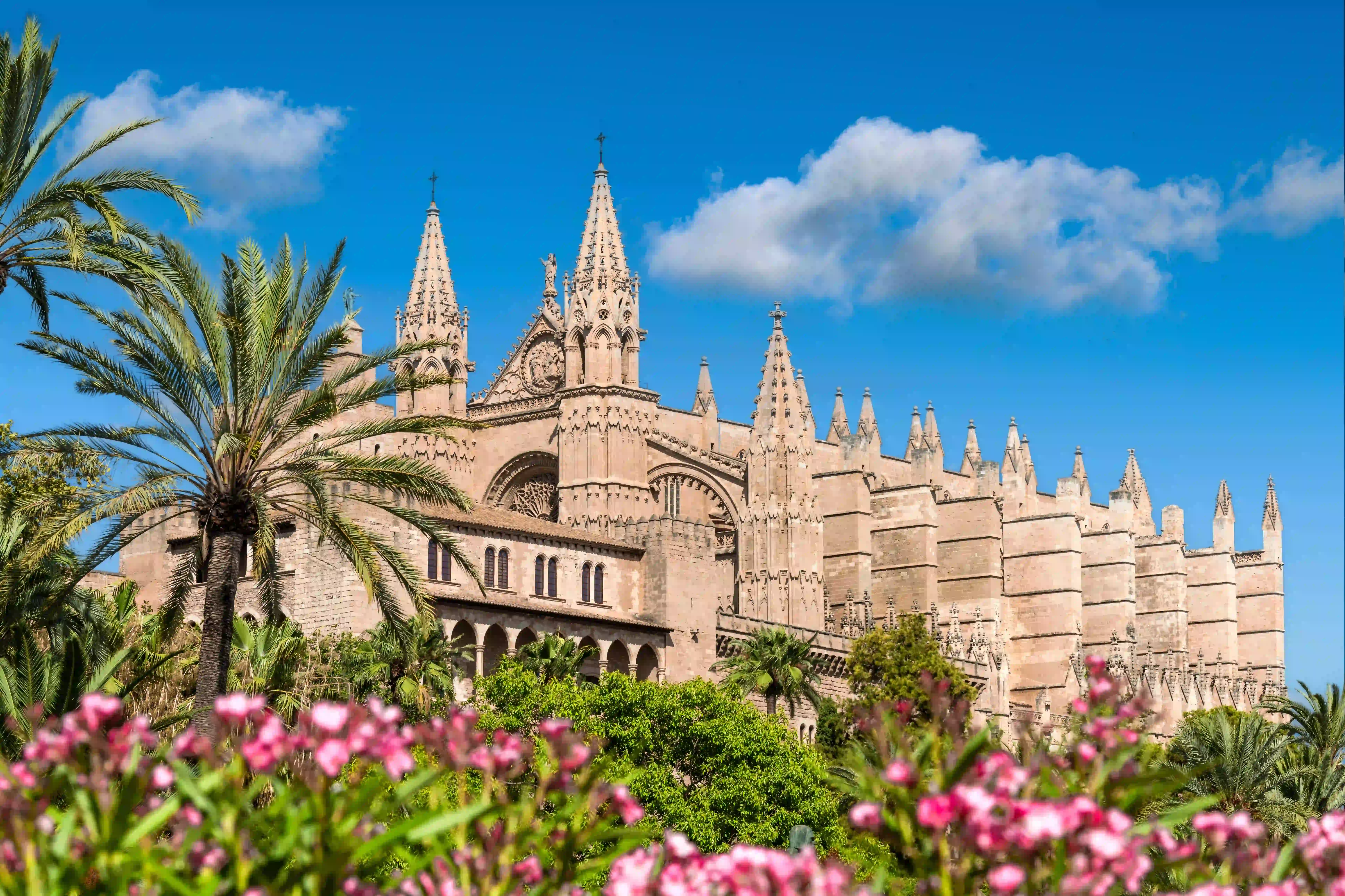 LeavKathedraleMallorca
