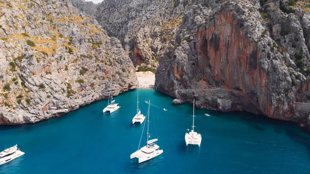 Olivenhaine der Serra de Tramuntana