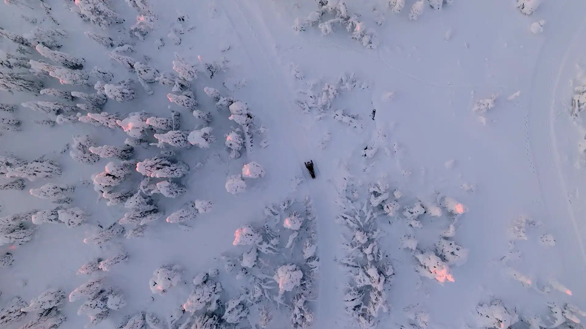 schneemobiltouren-topdown-wald