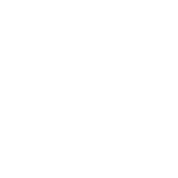 LinkedIn icon